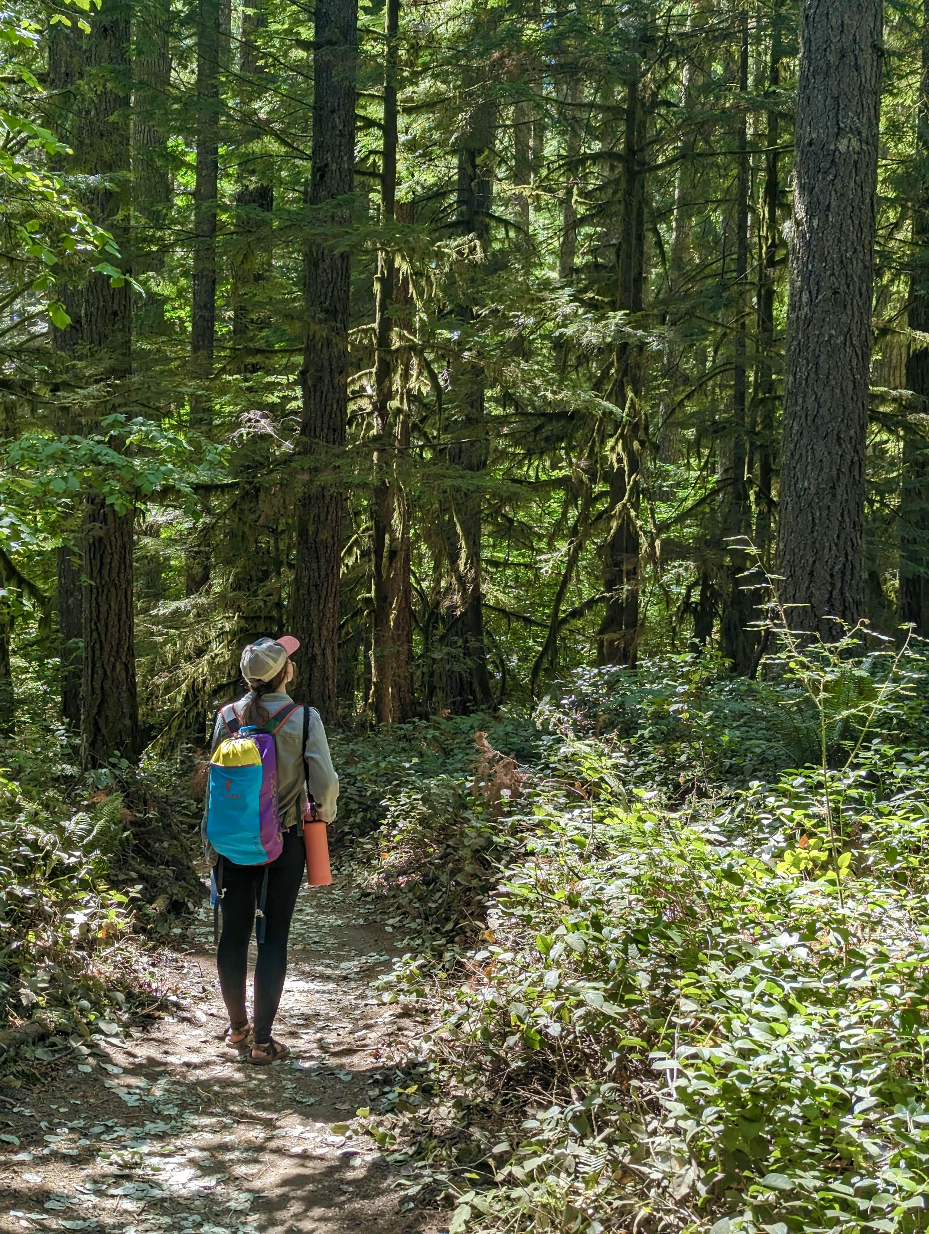 Char McKendrick | Mind Monarch Psilocybin Facilitation