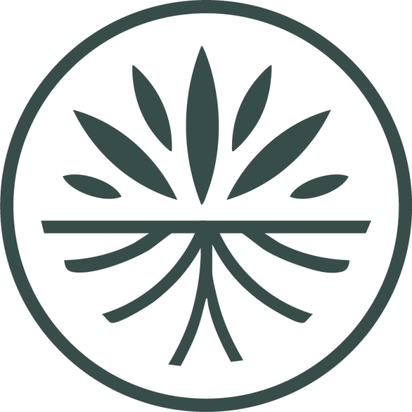 The Wholeness Center